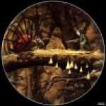 thumb_247 (Medium).jpg